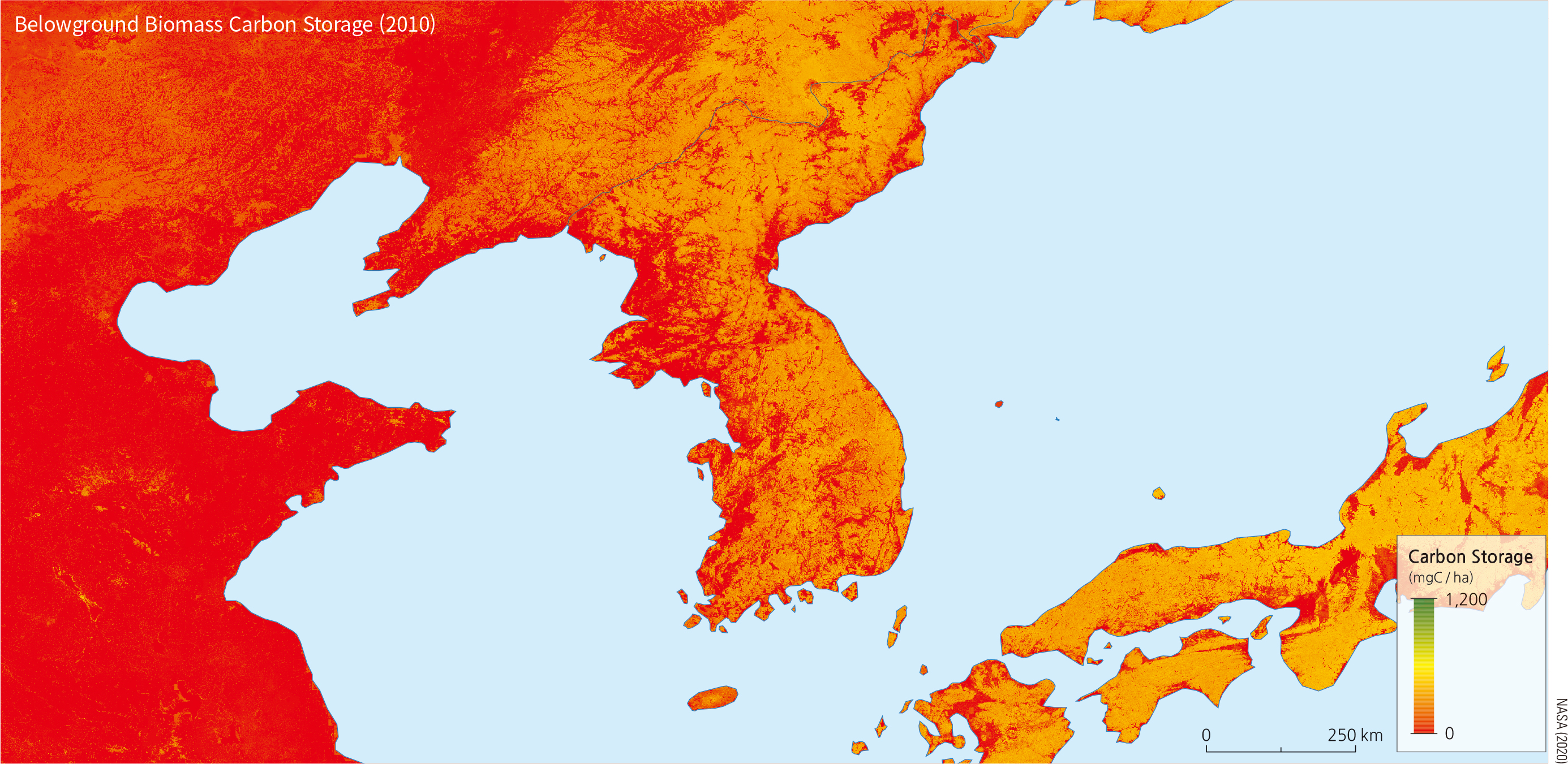 Carbon Storage in Northeast Asia (Belowground Biomass Carbon Storage)