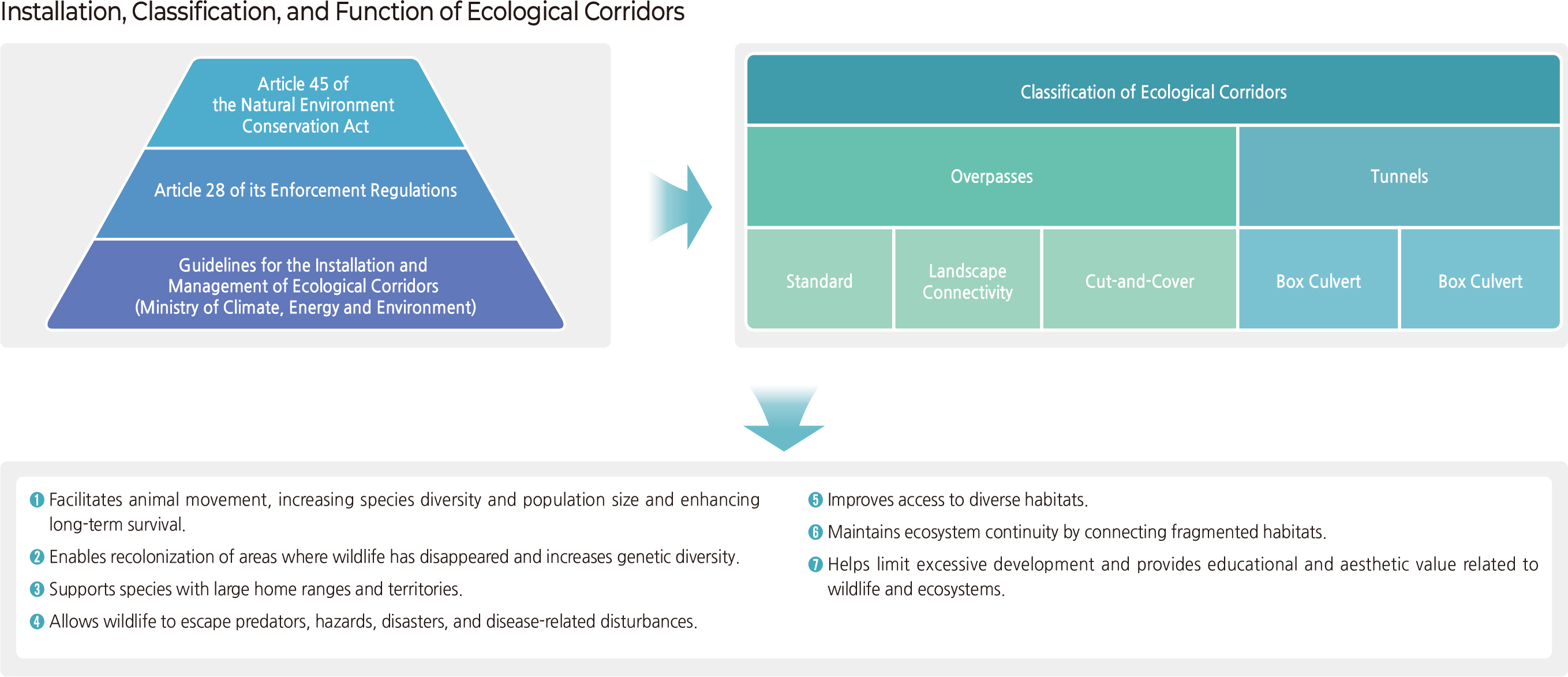 Installation, Classification, and Function of Ecological Corridors
