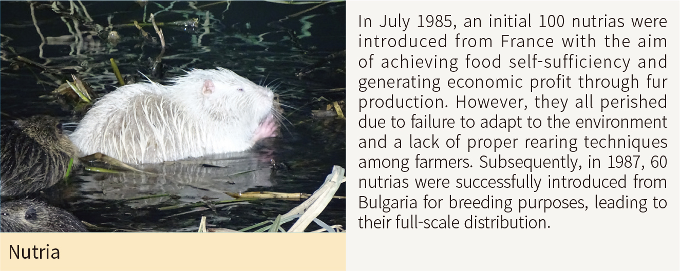 Nutria