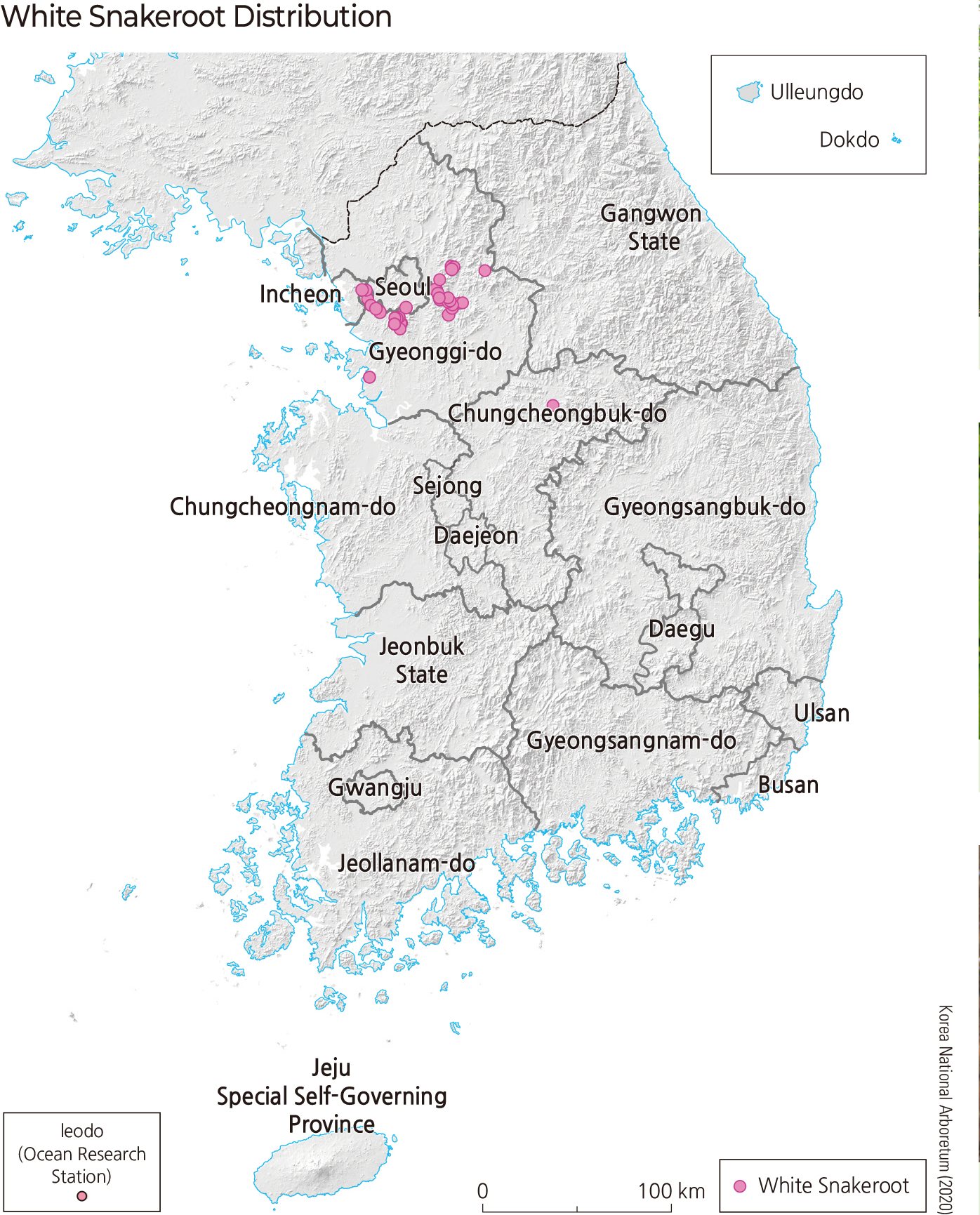 Burcucumber Distribution