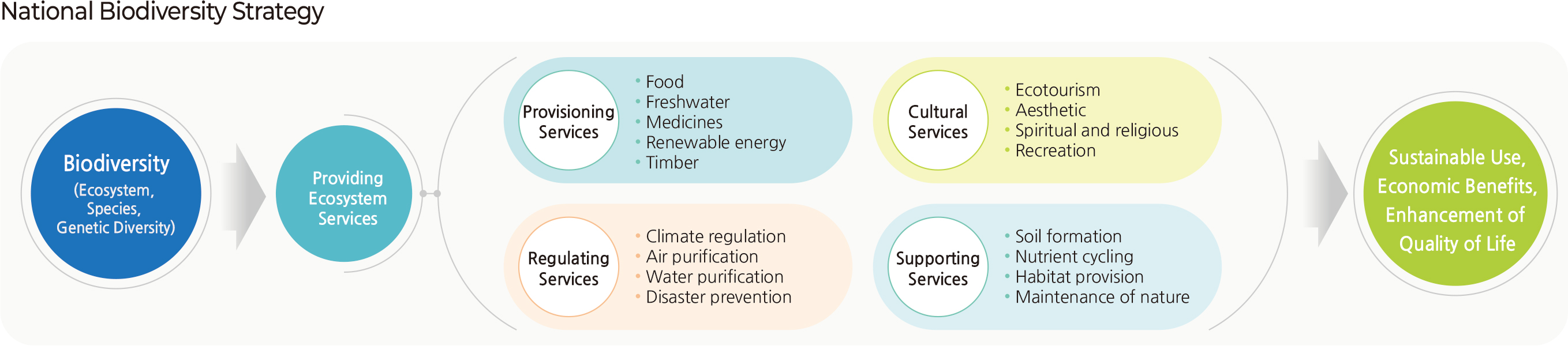5th National Biodiversity Strategy