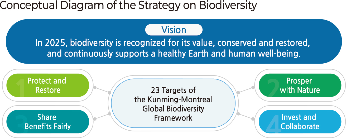 Conceptual Diagram of the Strategy on Biodiversity