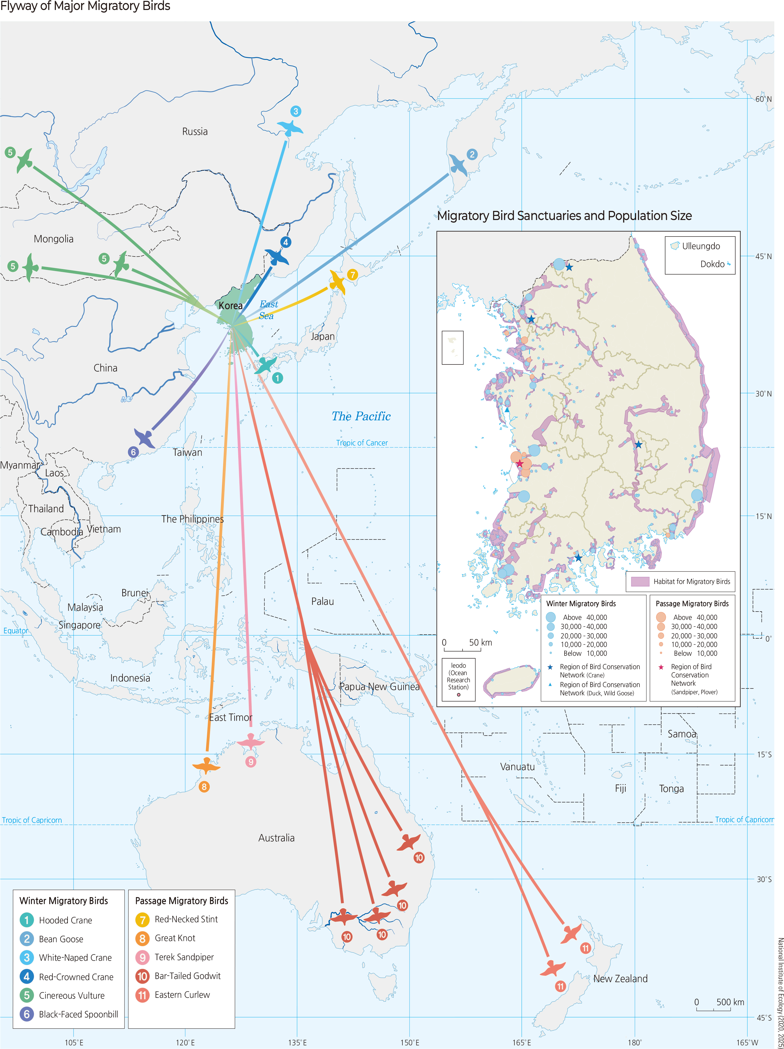 Flyway of Major Migratory Birds