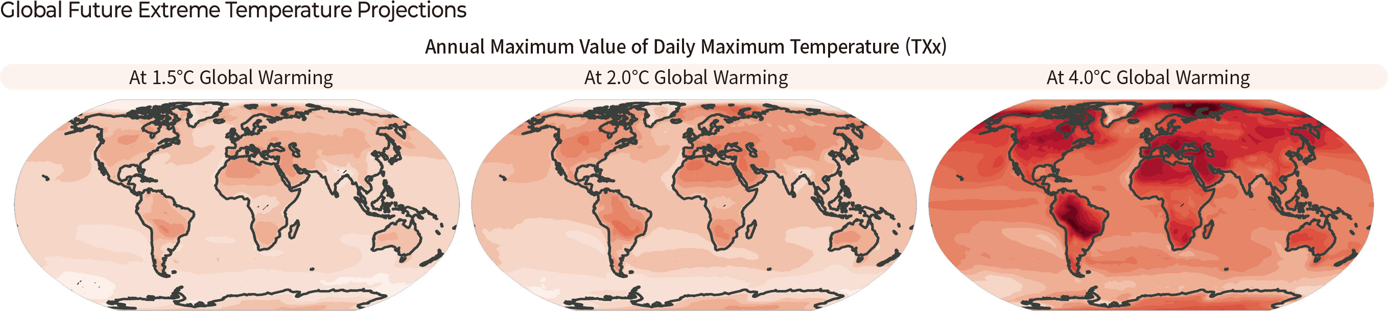 Future Temperature Projections