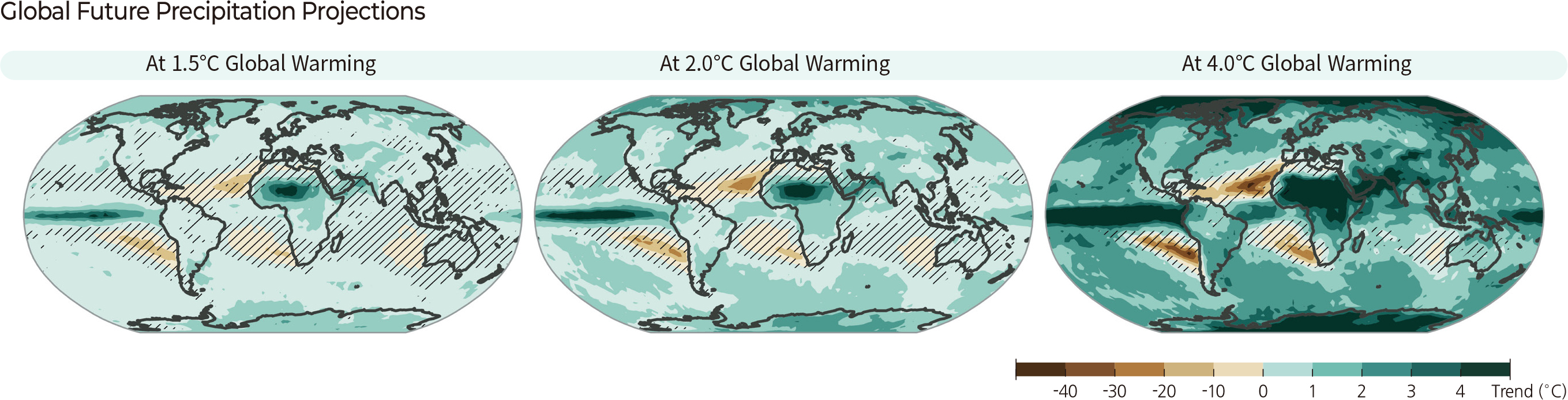 Global Future Precipitation Projections