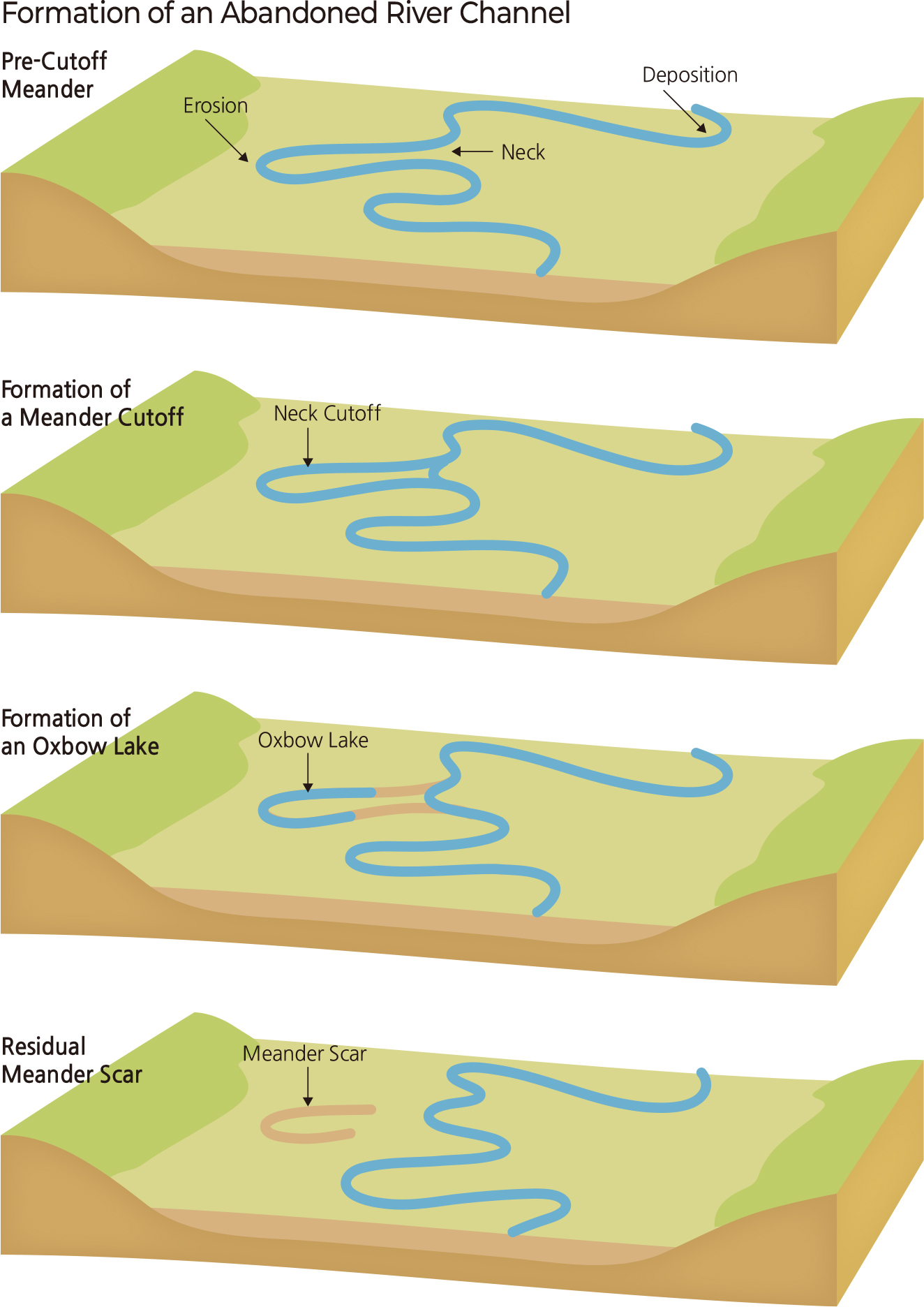 Formation of an Abandoned River Channel