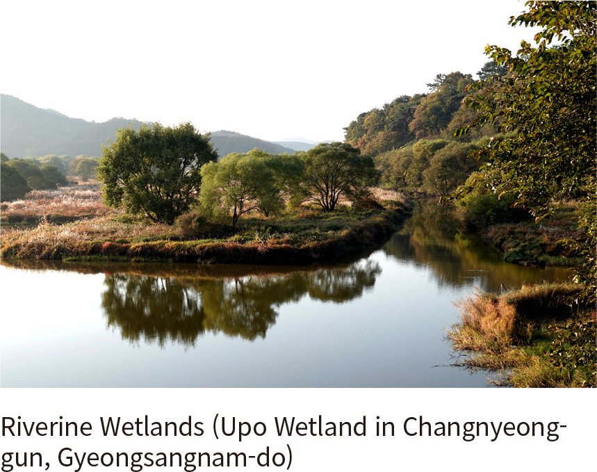 Abandoned Channel (Bangjeol-ri, Yeongwol-gun, Gangwon State)