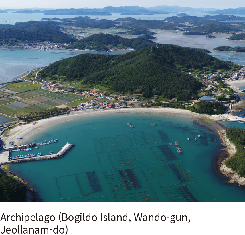 Coastal Terrace (Jeongdongjin, Gangneung, Gangwon State)
