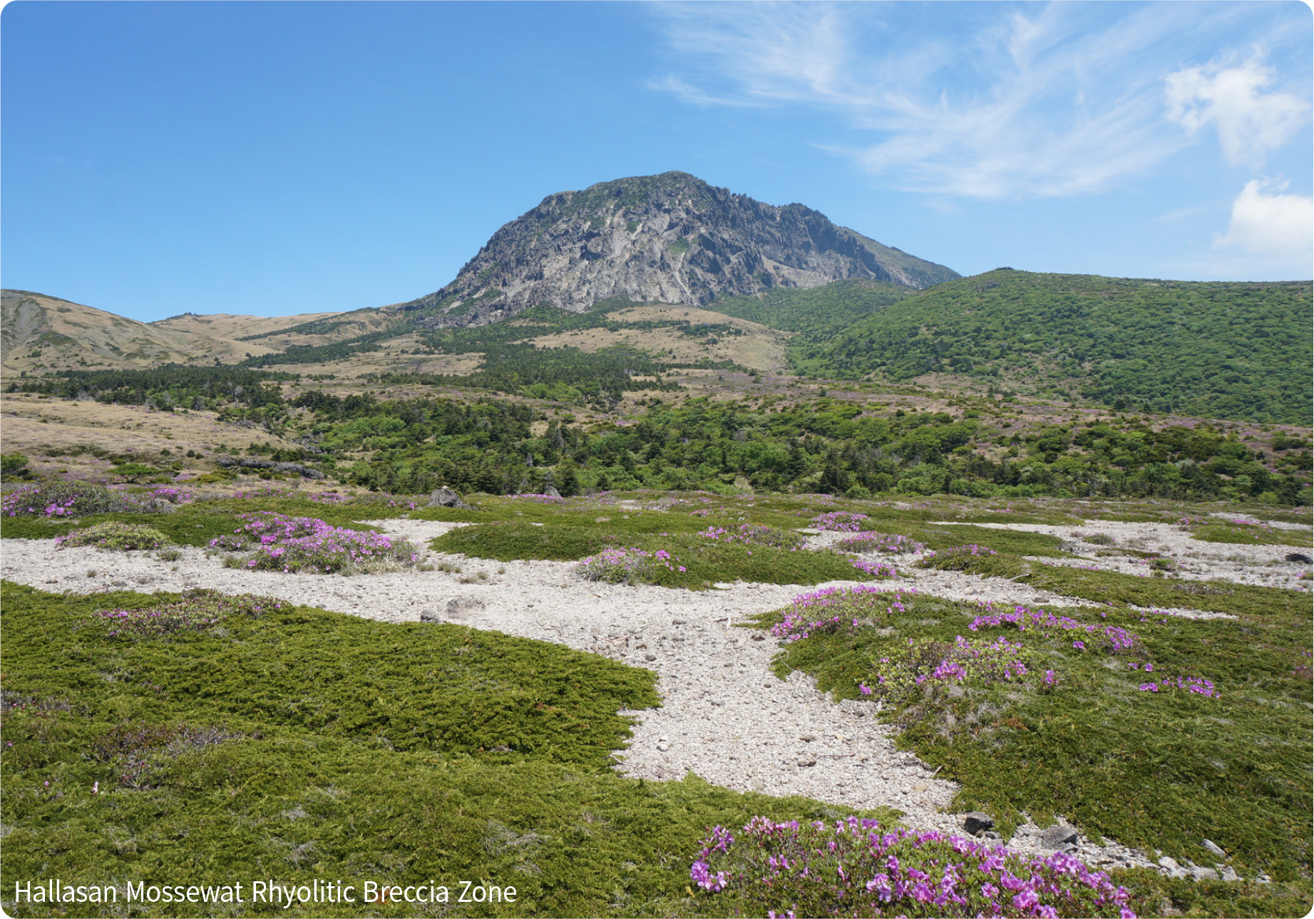 Hallasan Mossewat Rhyolitic Breccia Zone