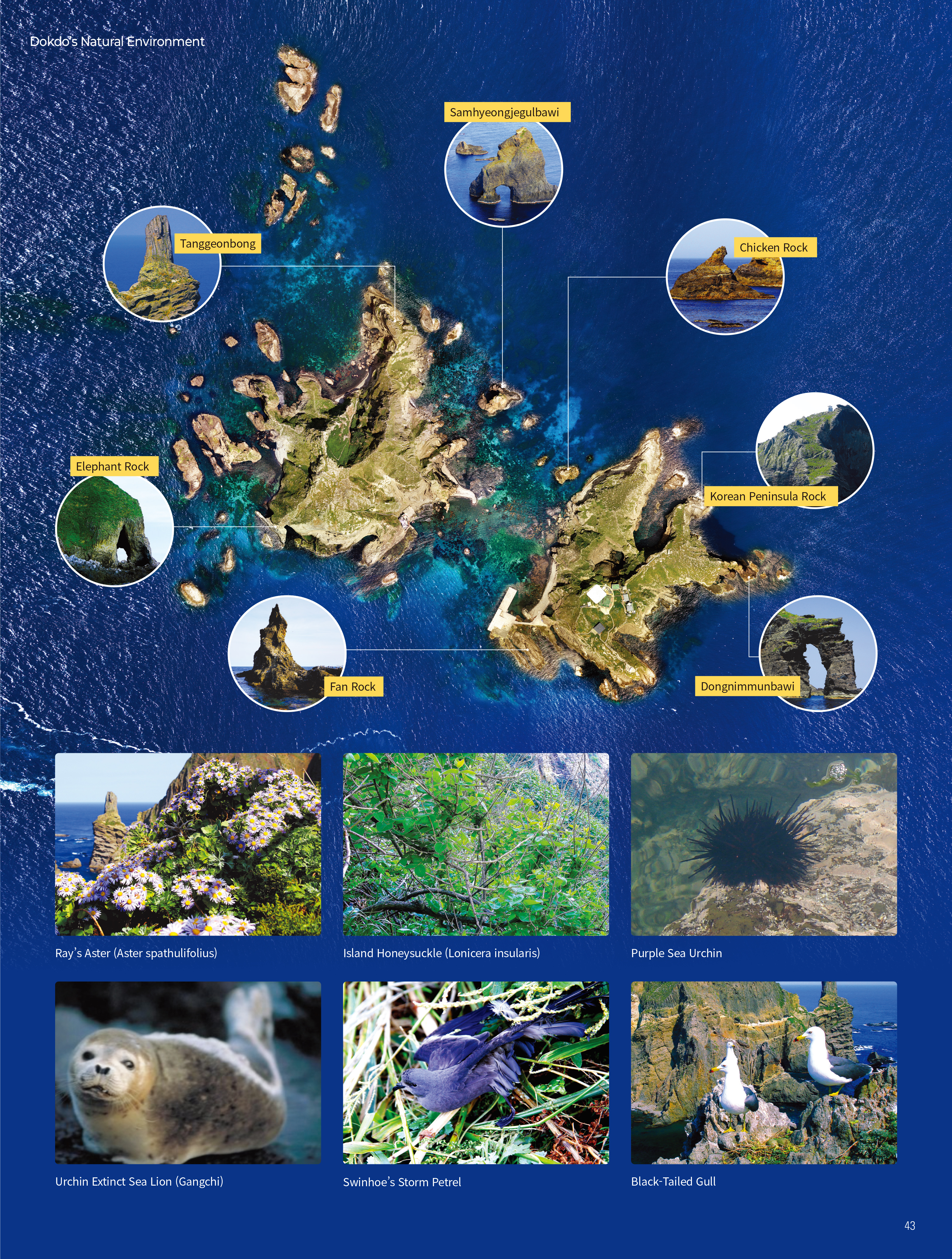 Ulleungdo, Dokdo Sea Route