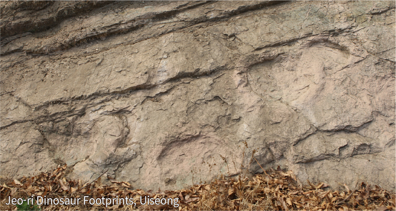 Stegosaurus Footprint, Geoje