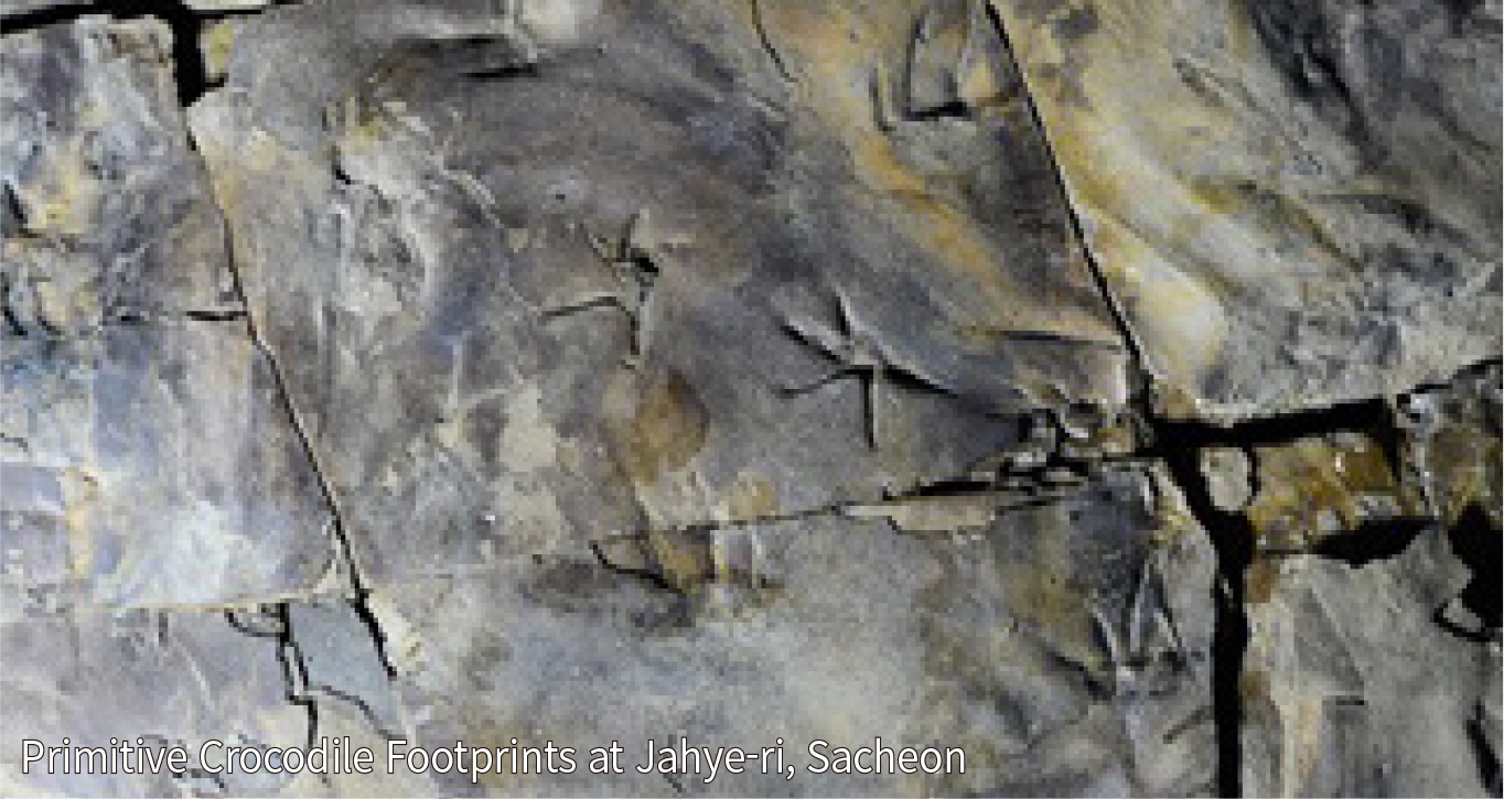 Cretaceous Dinosaur and Pterosaur Footprints at Jeongchon-myeon, Jinju