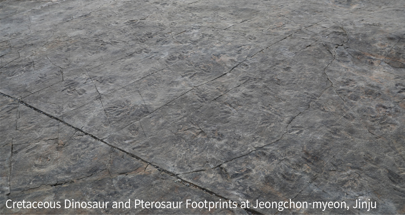 Dinosaur Footprint Fossils 3