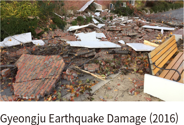Comparison of Gyeongju and Pohang Earthquakes