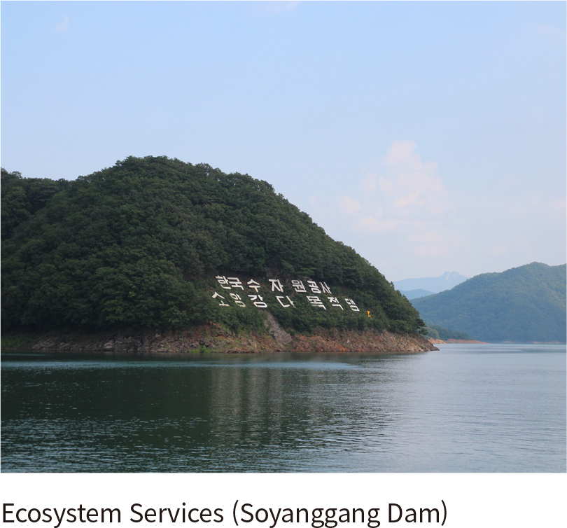 Ecosystem Services (Soyanggang Dam)
