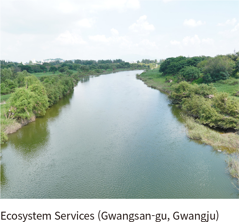 Ecosystem Services (Gwangsan-gu, Gwangju)