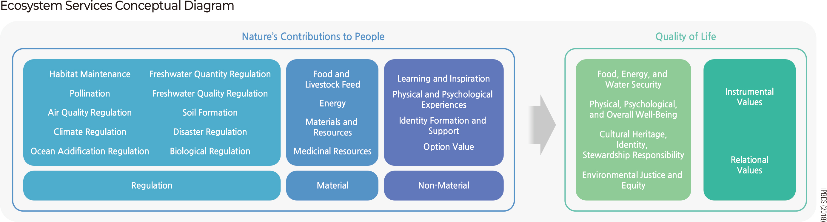 Ecosystem Services Conceptual Diagram